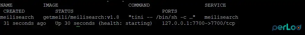 Check Meilisearch docker container status